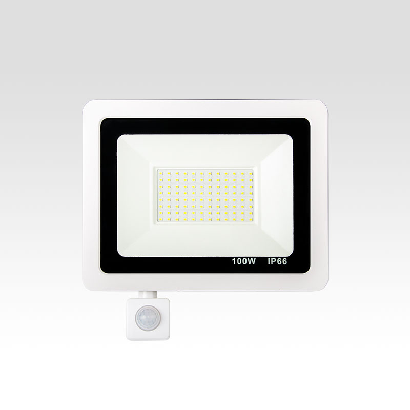Apple flood light